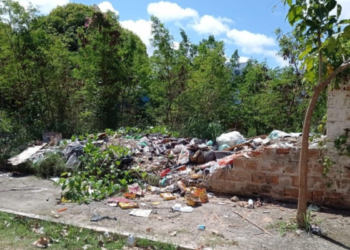 Terrenos vazios devem ser limpos até 05/01; proprietários podem ser multados após o prazo