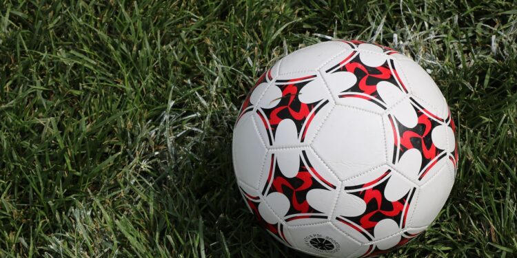 Adeus, Abel: treinador dá adeus ao futebol brasileiro