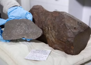 Homem guardou pedra de 17 kg achando que era ouro, mas descobriu ser algo bem mais raro