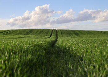 Nova lei vai ZERAR impostos para vários produtores rurais no Brasil