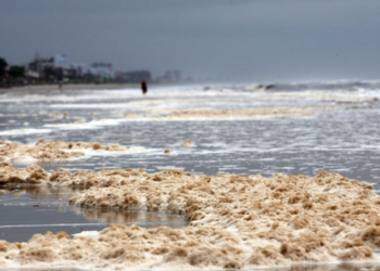 Praia brasileira acorda com cheiro insuportável e ninguém acredita no que foi descoberto lá
