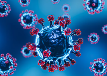 Vírus Nipah pode evoluir e iniciar pandemia pior que a Covid-19?