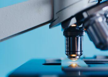 Cientistas pedem que nos preparemos para o que acontecerá em 13/11/2026