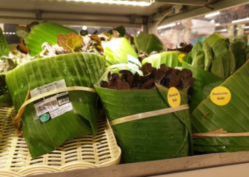 Adeus embalagens de plástico: supermercados estão usando folhas de bananeira para estocar alimentos neste país