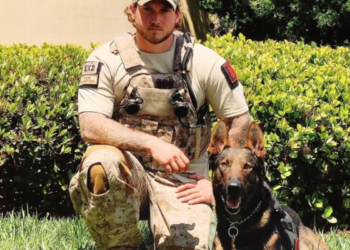 Cão que encontrou Osama Bin Laden em 2011 guiou 75 militares e tinha modificações no corpo para combate especial