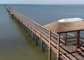 Cientistas encontram bactérias na água e alertam para que brasileiros fiquem longe do mar
