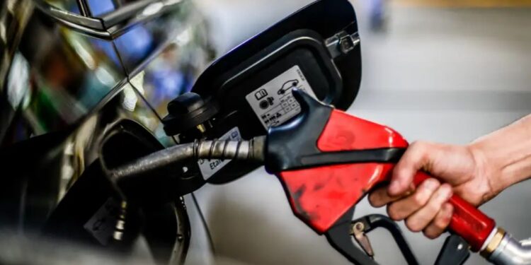 gasolina