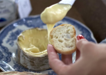 Queijo de Santa Catarina é reconhecido como um dos melhores do mundo por revista internacional