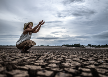 Sexta extinção em massa do Planeta Terra já tem data para acontecer
