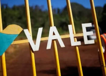 Fim das operações: Justiça determina que Vale interrompa todas as atividades imediatamente