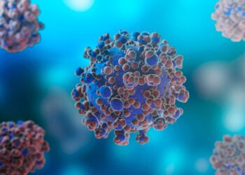 Após o mpox, vírus Nipah tem potencial para atingir o Brasil?