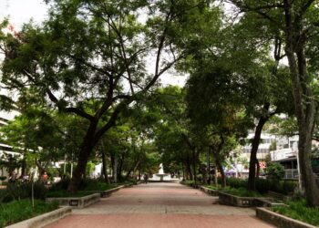 Capital brasileira vai plantar inúmeras árvores e transformar o centro histórico em um “jardim florido”