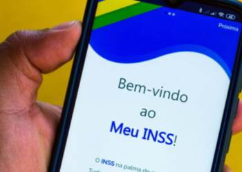 INSS