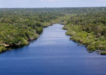 O fenômeno invisível da Amazônia que influencia o clima de todo o Brasil