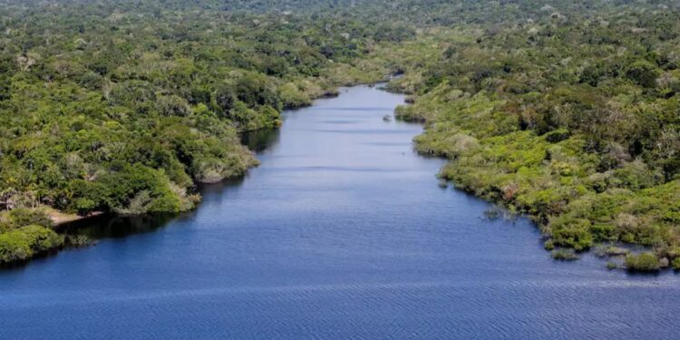 O fenômeno invisível da Amazônia que influencia o clima de todo o Brasil