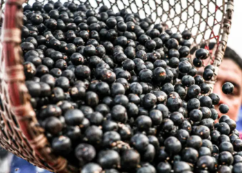 Açaí