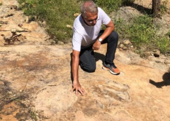 Cientistas confirmam aparição de dinossauro gigante no Brasil