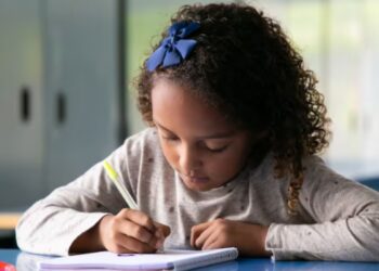Estudos