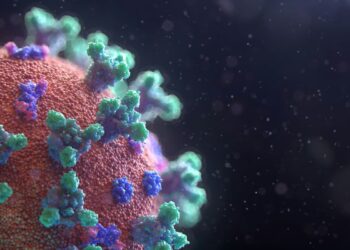 Esqueça o hantavírus, MPOX e o Nipah: vírus antigo volta à tona e país declara epidemia