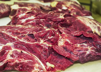 Sem garantias sanitárias, Brasil é excluído de lista de exportadores de carne para Europa