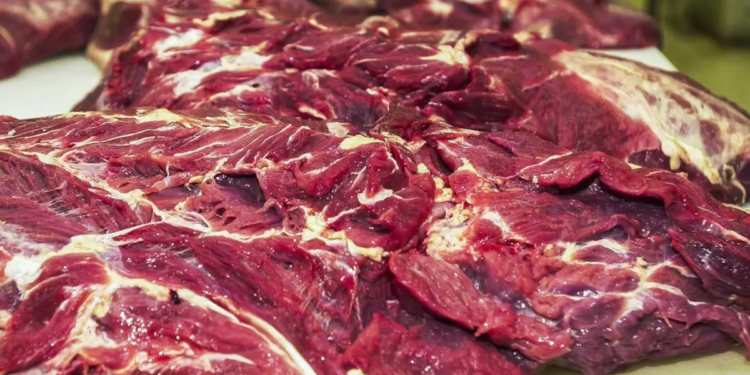Sem garantias sanitárias, Brasil é excluído de lista de exportadores de carne para Europa