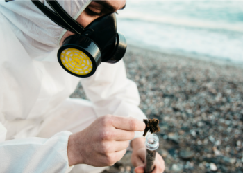 Cientistas fazem alerta para brasileiros que vivem em cidades com praia