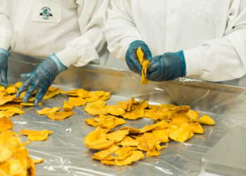 Mais de 1 milhão de pessoas recebem alerta grave sobre alimentos contaminados