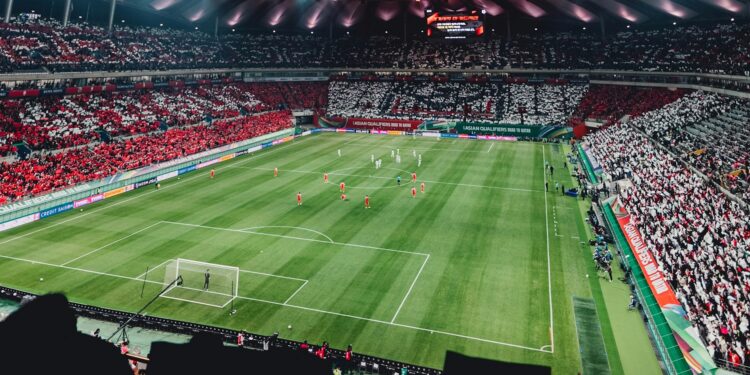 Essa é a fortuna que precisa pagar para assistir ao jogo Brasil x Noruega