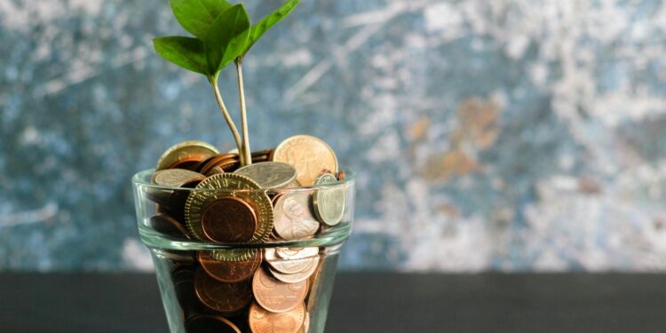 Quanto dinheiro é preciso investir para ganhar R$ 1 mil por mês sem trabalhar?