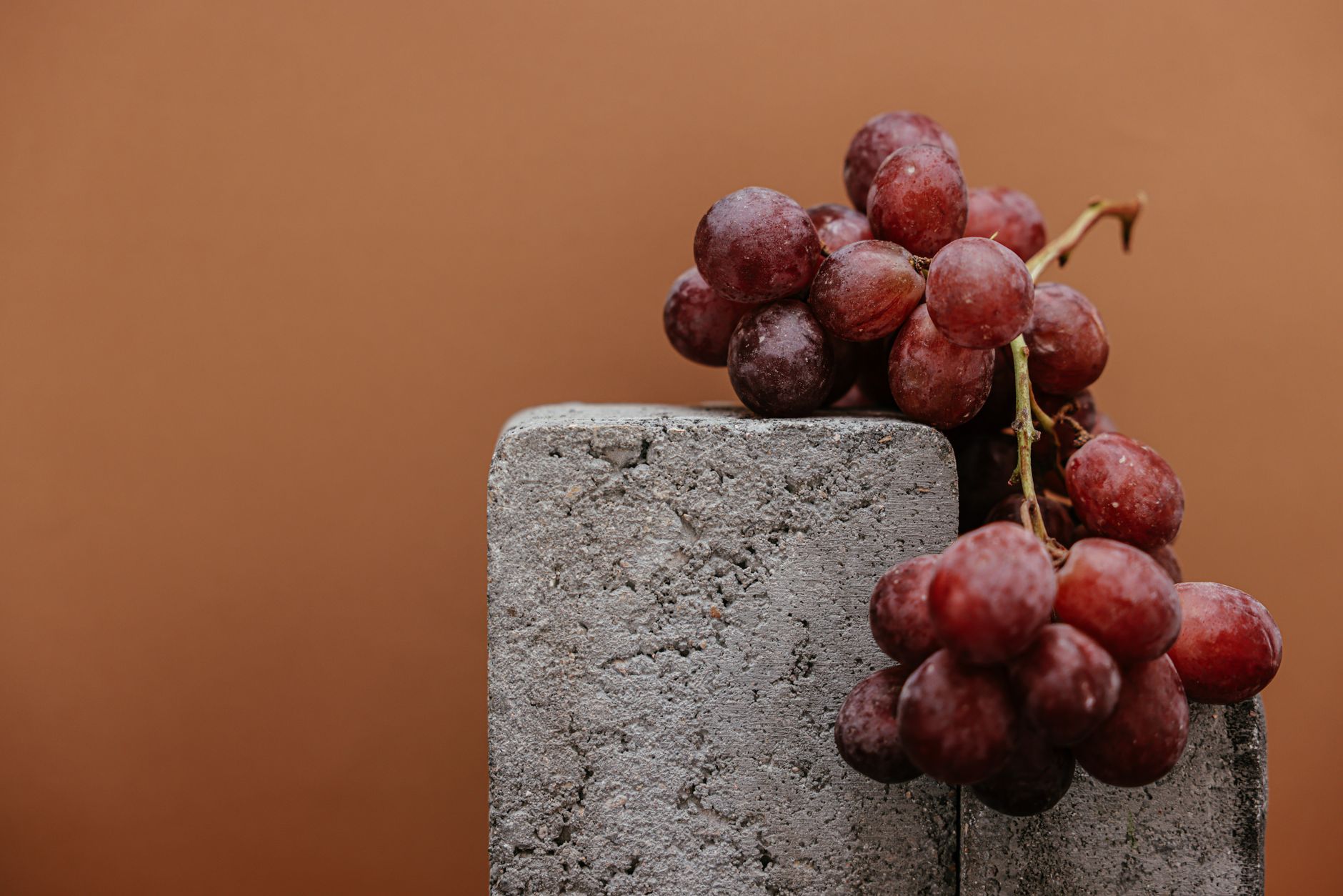 Uvas vermelhas suculentas descansam em um bloco de concreto contra um fundo marrom.
