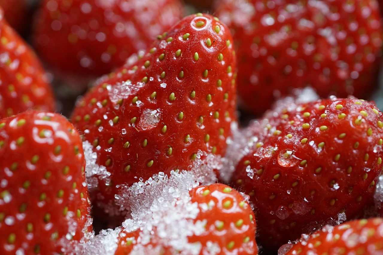 morangos açucarados, açúcar, morangos, vermelho, doce, frutas, fresco, maduro, sobremesa, comida, delicioso, bagas vermelhas, fechar-se