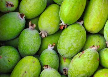 Fruta brasileira que quase ninguém conhece virou sucesso no exterior e pode custar R$ 20 o quilo