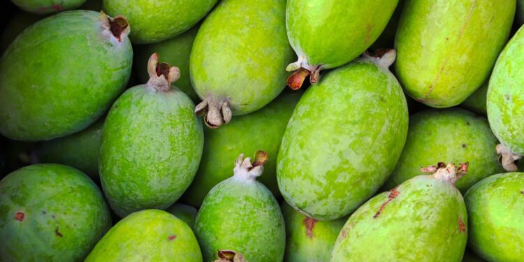 Fruta brasileira que quase ninguém conhece virou sucesso no exterior e pode custar R$ 20 o quilo