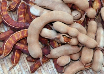 Do azedo ao macio: dois alimentos conquistam dois países por motivos completamente diferentes