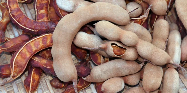 Do azedo ao macio: dois alimentos conquistam dois países por motivos completamente diferentes