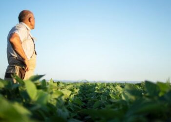 Agricultor de 86 anos recusa US$ 15,7 milhões para preservar fazenda na Pensilvânia
