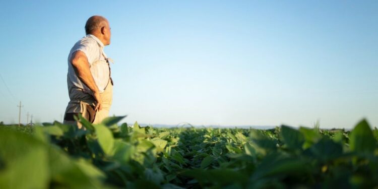 Agricultor de 86 anos recusa US$ 15,7 milhões para preservar fazenda na Pensilvânia