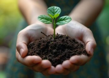 Cidade planta 200 mil árvores para transformar espaços públicos contra o calor