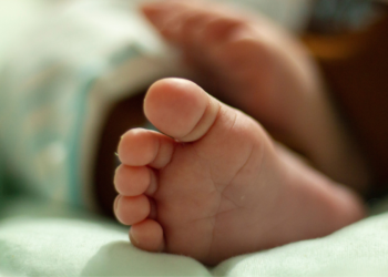 Bebê nasce em casa, é colocado em mochila e chega ao hospital com mordidas de animais