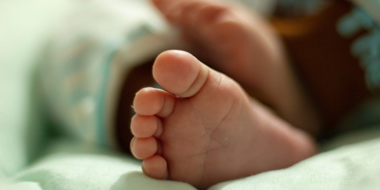 Bebê nasce em casa, é colocado em mochila e chega ao hospital com mordidas de animais