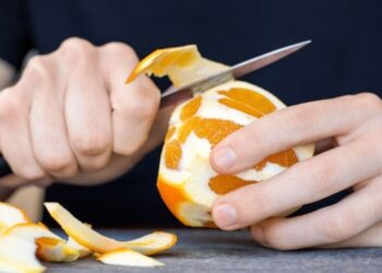 Jogaram toneladas de cascas de laranja em uma floresta e pesquisadores descobriram um efeito surpreendente
