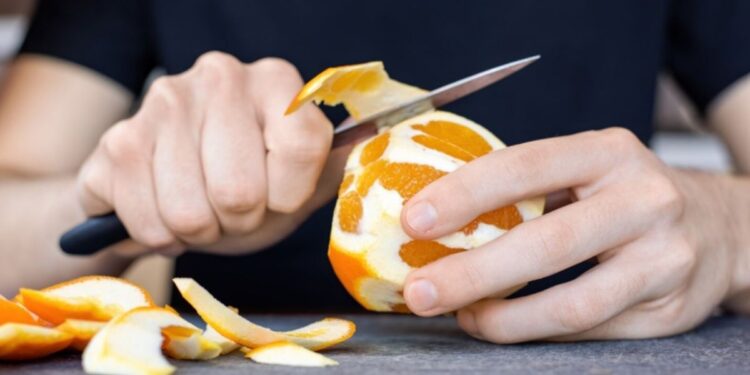 Jogaram toneladas de cascas de laranja em uma floresta e pesquisadores descobriram um efeito surpreendente