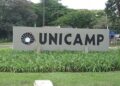 Estudo da Unicamp revela quais bebidas vegetais são mais suscetíveis à proliferação de bactérias