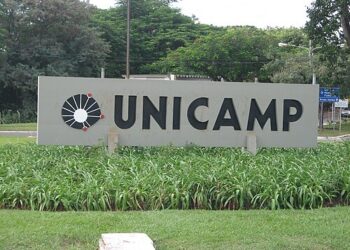 Estudo da Unicamp revela quais bebidas vegetais são mais suscetíveis à proliferação de bactérias