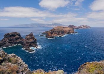 Conhecida como Ilha das Flores, este destino em Portugal esconde uma floresta de milhões de anos