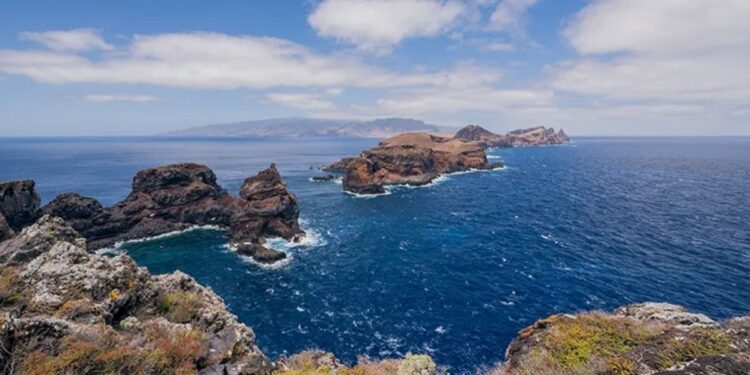 Conhecida como Ilha das Flores, este destino em Portugal esconde uma floresta de milhões de anos