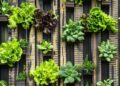 Parede vazia dentro de casa pode virar jardim aconchegante com estas ideias