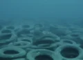 O projeto que jogou 2 milhões de pneus no oceano para criar um recife e acabou destruindo corais