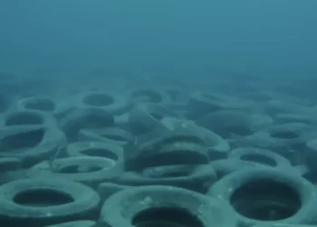 O projeto que jogou 2 milhões de pneus no oceano para criar um recife e acabou destruindo corais