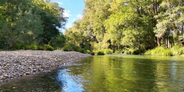 Cientistas jogaram 5 galões de tinta vermelha em um rio para descobrir como a água se movimentava